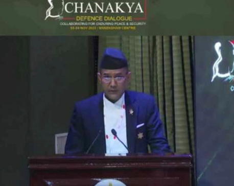 Nepal is the largest net contributor to global security architecture: Security Expert Thapa