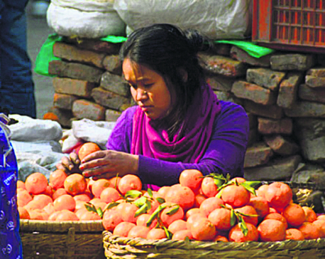 Can Nepal export citrus fruits?
