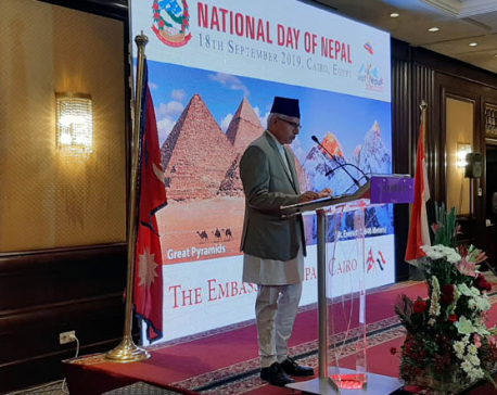 Nepal's Constitution Day observed in Egypt
