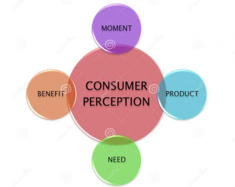How Consumer Perception Guides Consumer Behavior