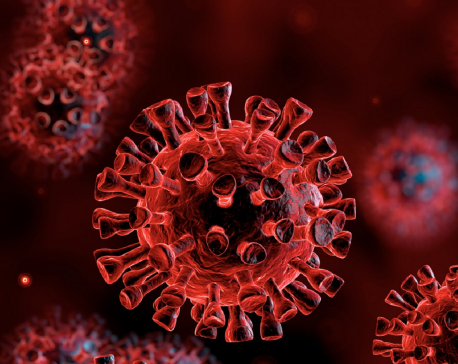 Nepal reports twelve deaths linked to coronavirus in past 24 hours