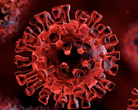 Province 1 records seven more coronavirus-related deaths