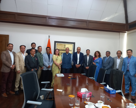 NICCI office bearers call on Indian Ambassador Srivastava