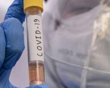 Govt mulling over sending swab samples of UK passengers to foreign labs to test new strain of COVID-19