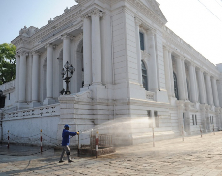 Kathmandu metropolis sprays disinfectant in the city (with photos)