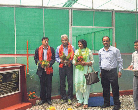 Dabur Nepal hands over greenhouse to PADT