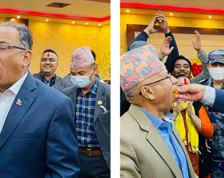 Dahal, Nepal feed sweets to each other to celebrate victory after SC verdict