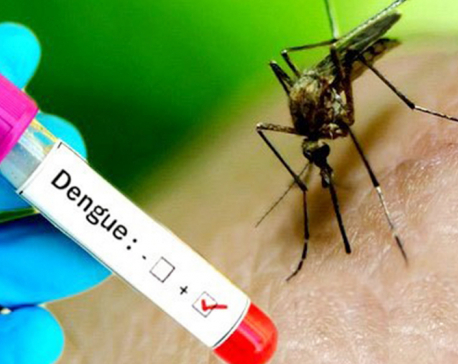 Over 13,000 people infected with dengue across the country