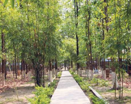 Eco-tourism thriving in Dharan