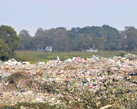 Siddharthanagar Municipality disposing of waste on riverbank