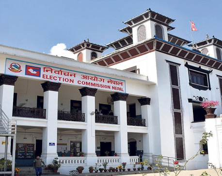 National Assembly Election report submitted to President Paudel