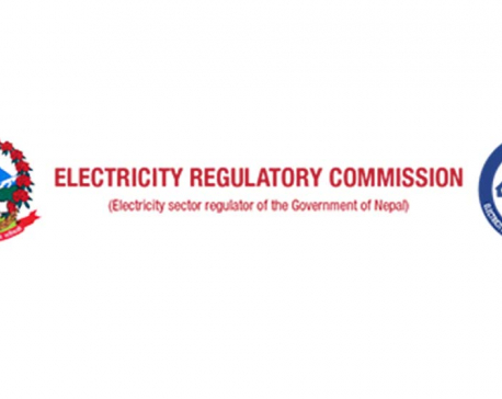 Clarification sought from Electricity Regulation Commission Chair