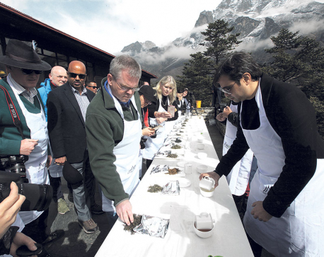 Tea tasting event held in Everest region