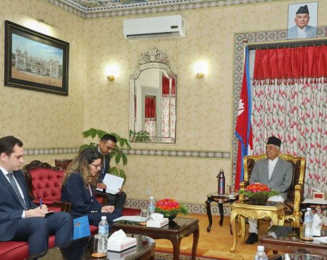 Egyptian envoy to Nepal calls on President Paudel