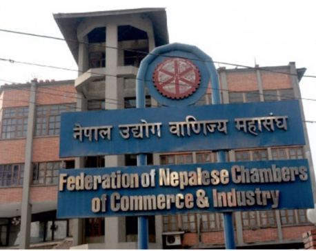 FNCCI suggests to parliamentary committee to remove 13 percent VAT on air tickets