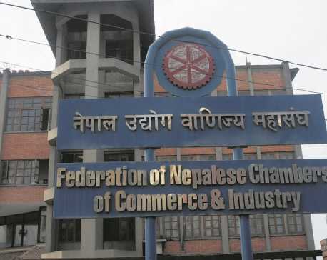 FNCCI seeks support from government to revive business sector