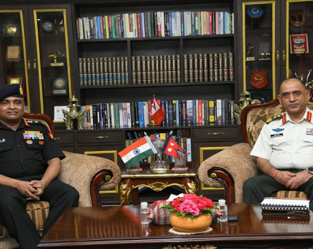 Indian army chief meets his Nepali counterpart