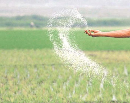 Distribution of chemical fertilizers begins nation-wide