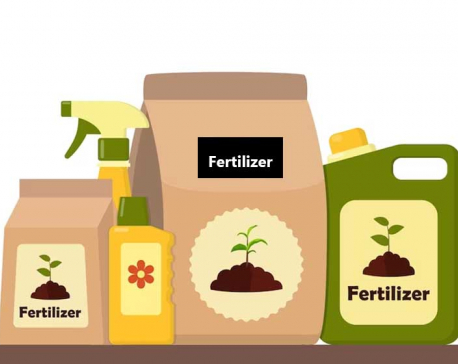 Govt urges early initiation of fertilizer procurement process