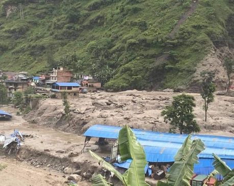 85 dead, 46 missing due to monsoon-induced disasters in Nepal