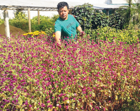 Despite growth potential, floristry remains unpopular