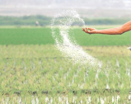 Farmers to finally receive chemical fertilizers, weeks after rice plantation is over