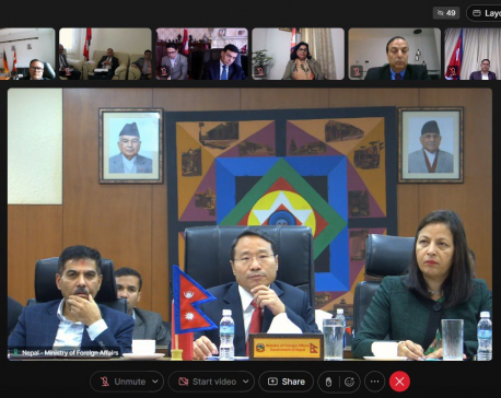 FinMin Pun holds a virtual meeting with ambassadors and heads of delegations of 40 countries