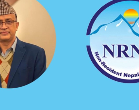 Rajendra Kumar Raut appointed CEO of NRNA