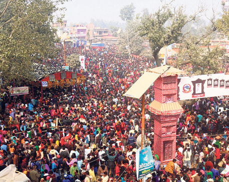 Over 1.5 million converge for Gadhimai Mela