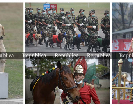 Ghode Jatra celebrations in Kathmandu (With Photos)