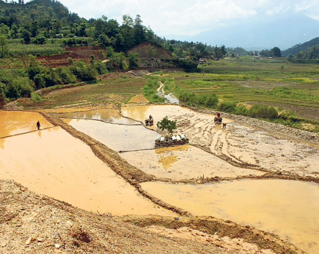 Gorkha farmers relieved as irrigation canals start flowing again