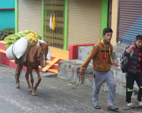 Darjeeling people throng Nepali town Pashupatinagar to buy food stuffs