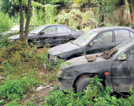Luxury cars worth millions gather dust at government offices