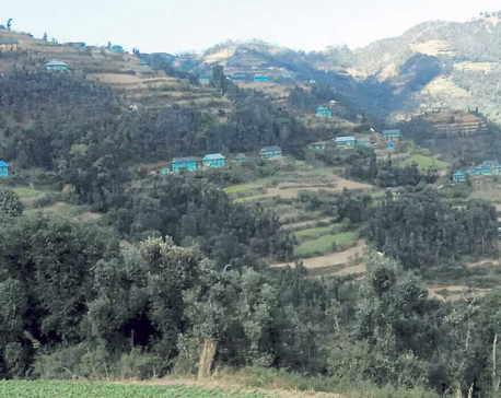 Village turns green in Rolpa