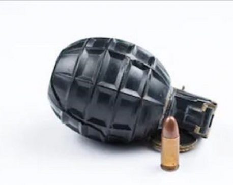 Nepal Army defuses grenade found in Godavari