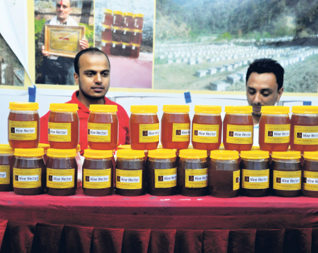 2nd National Honey Fair begins in Kathmandu