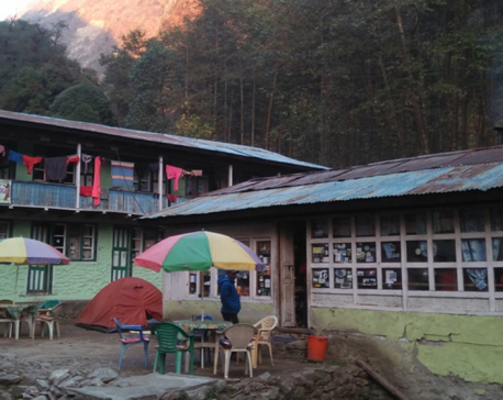 Hotels and lodges in Langtang area to shut down for months