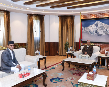 National Assembly Chair Timilsina calls on President Paudel