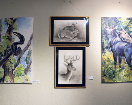 ‘Art for Nature’  pushes conservation