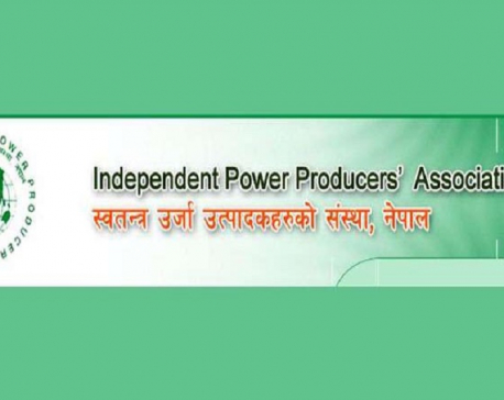 IPPAN urges govt to extend timeline of feasibility study of power projects from 5 yrs to 7 yrs