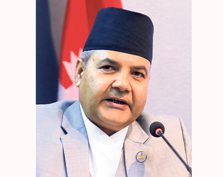 Govt sensitive to health condition of Nepalis in Wuhan: Speaker Banskota