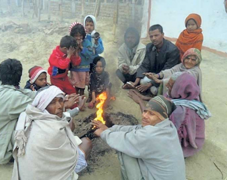 Cold hits life hard in tarai districts