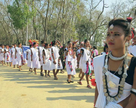 Glimpses of Pokhara Street Festival,Chitwan’s Hatti Mahottsav