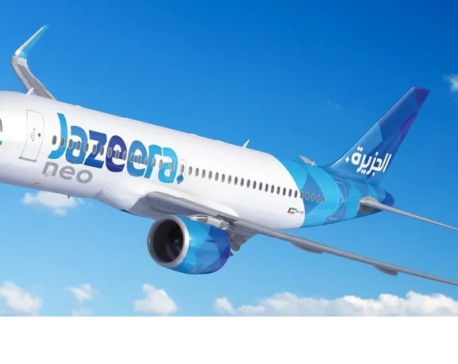 Jazeera Airways aircraft grounded after suspected bird strike