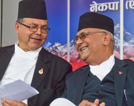 Khanal fears constitution would fail in absence of elections