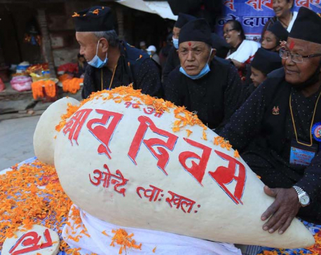 Jyapu Day celebrations at Basantapur (With Photos)