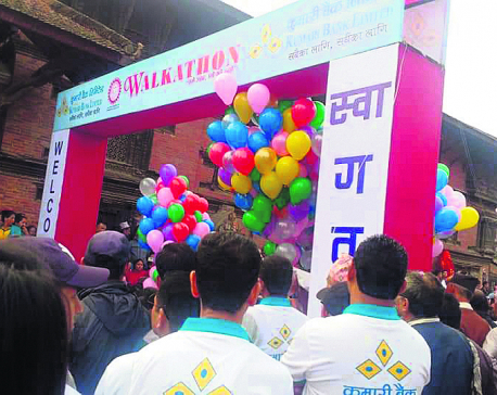 Walkathon raises Rs 1.2m for Patan heritages