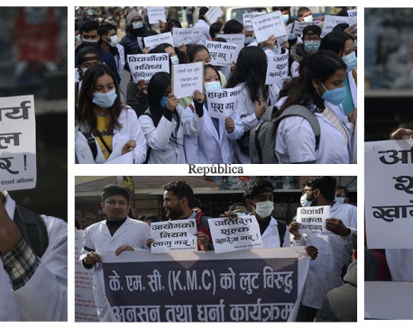 Medical students stage protest at Maitighar (With Photos)