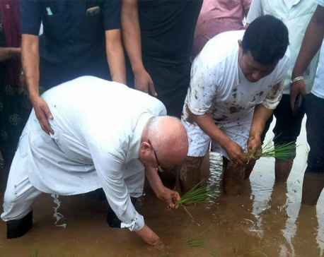 In pictures: UML Chairman Oli plants paddy saplings