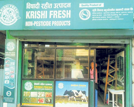 Krishi Fresh outlets draw consumers in droves